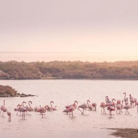 Junto La Playa * Coma-ruga